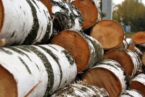 доставка дров в Новосибирске
